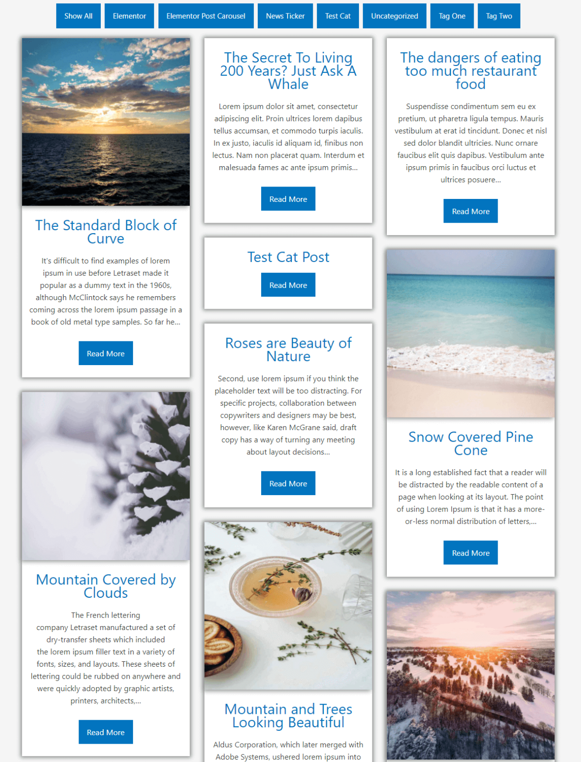 how to add post category in elementor